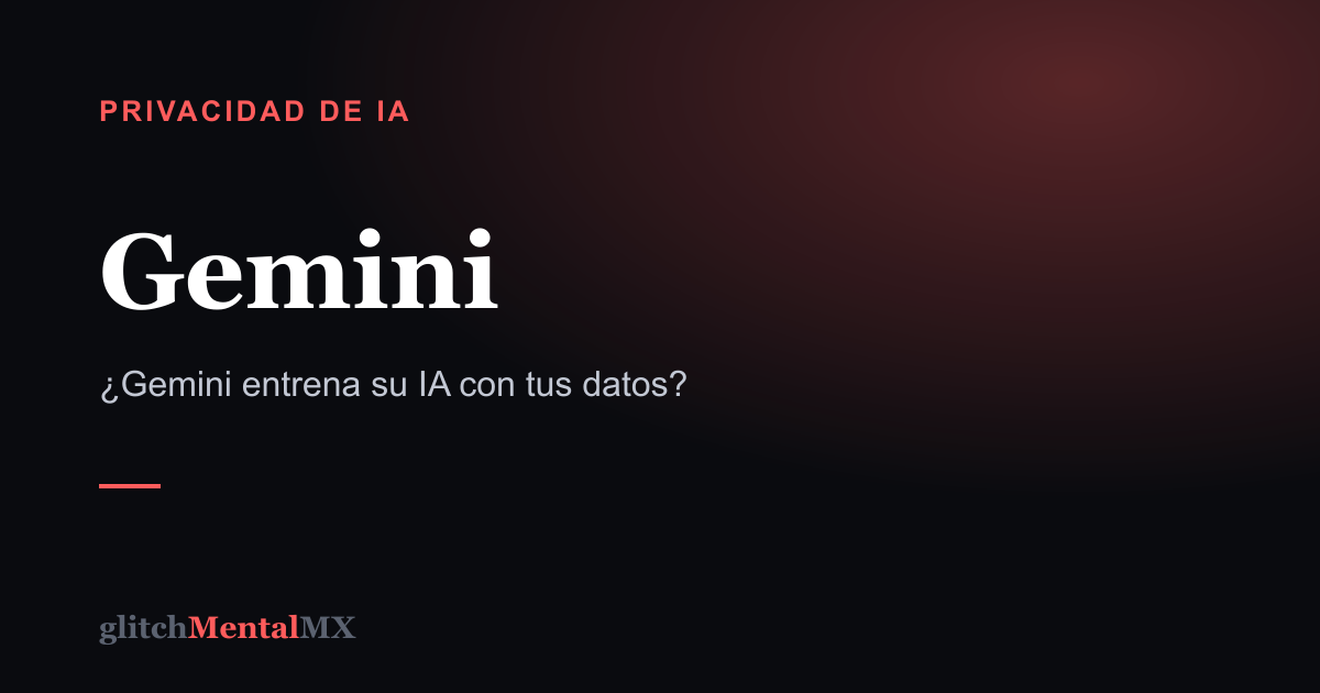 Gemini — Privacidad de IA