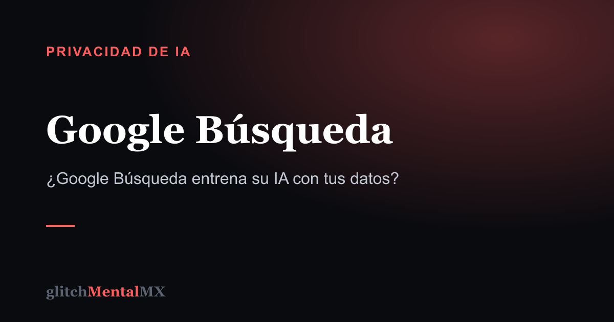 Google Búsqueda — Privacidad de IA