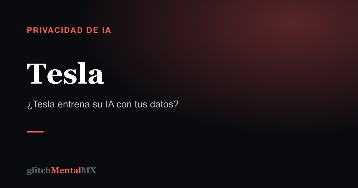 Tesla — Privacidad de IA